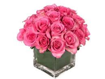 Soft pink roses in cube vase