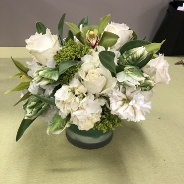 Spring Whites & Greens