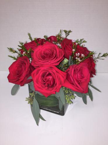 Compact Roses
